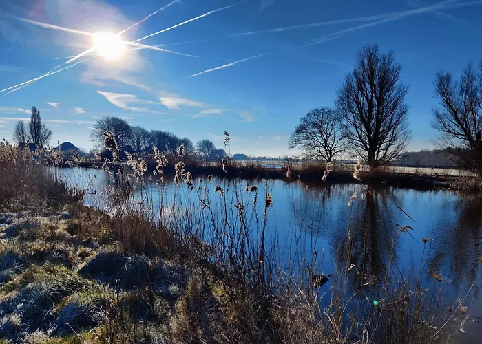 Park De Driesprong